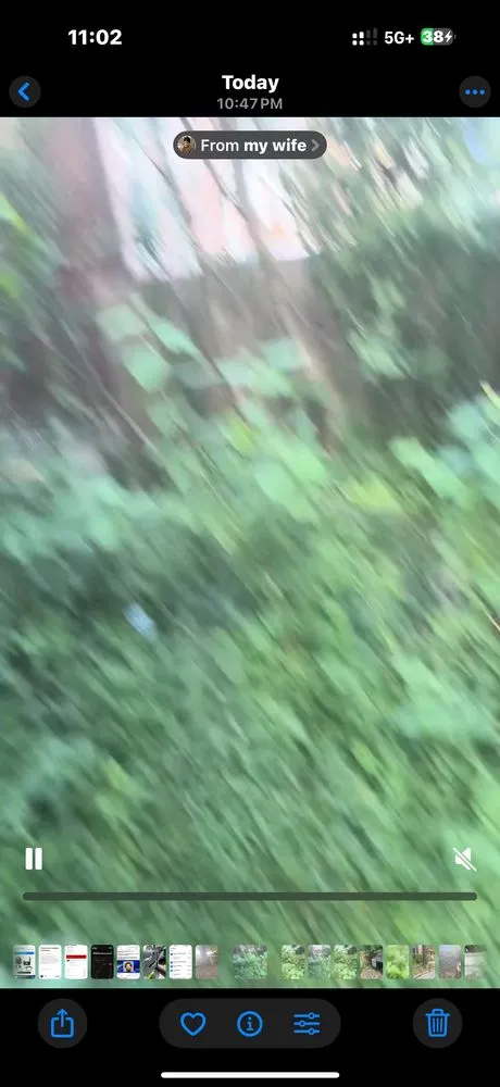 Top-rated yard cleanup service in Swansea, IL - Maddex and Landscaping