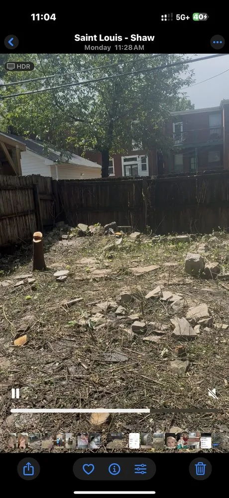 Top-rated lawn care service for beautiful yards across Swansea, IL - Maddex and Landscaping