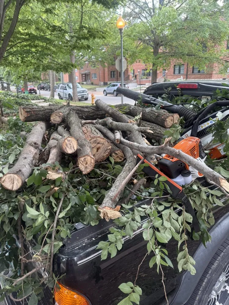 Expert landscaping services for homes across Swansea, IL - Maddex and Landscaping