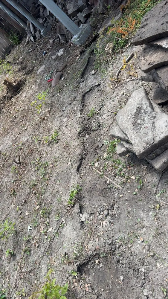 Expert lawn mowing service in Swansea, IL by Maddex and Landscaping