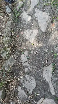 Maddex and Landscaping