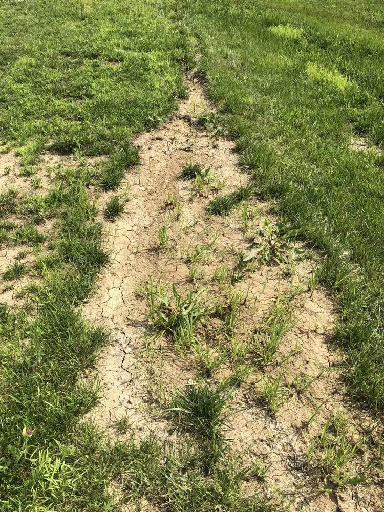 Custom lawn care service near you in Florence, KY by Maddox Garden Center and Landscaping