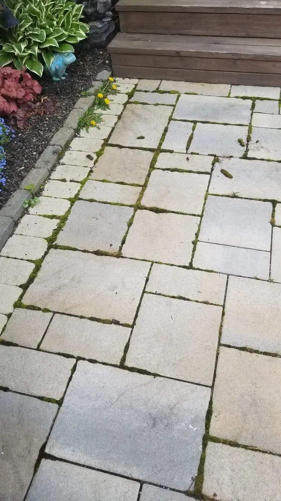 Reliable yard maintenance in Florence, KY - Maddox Garden Center and Landscaping