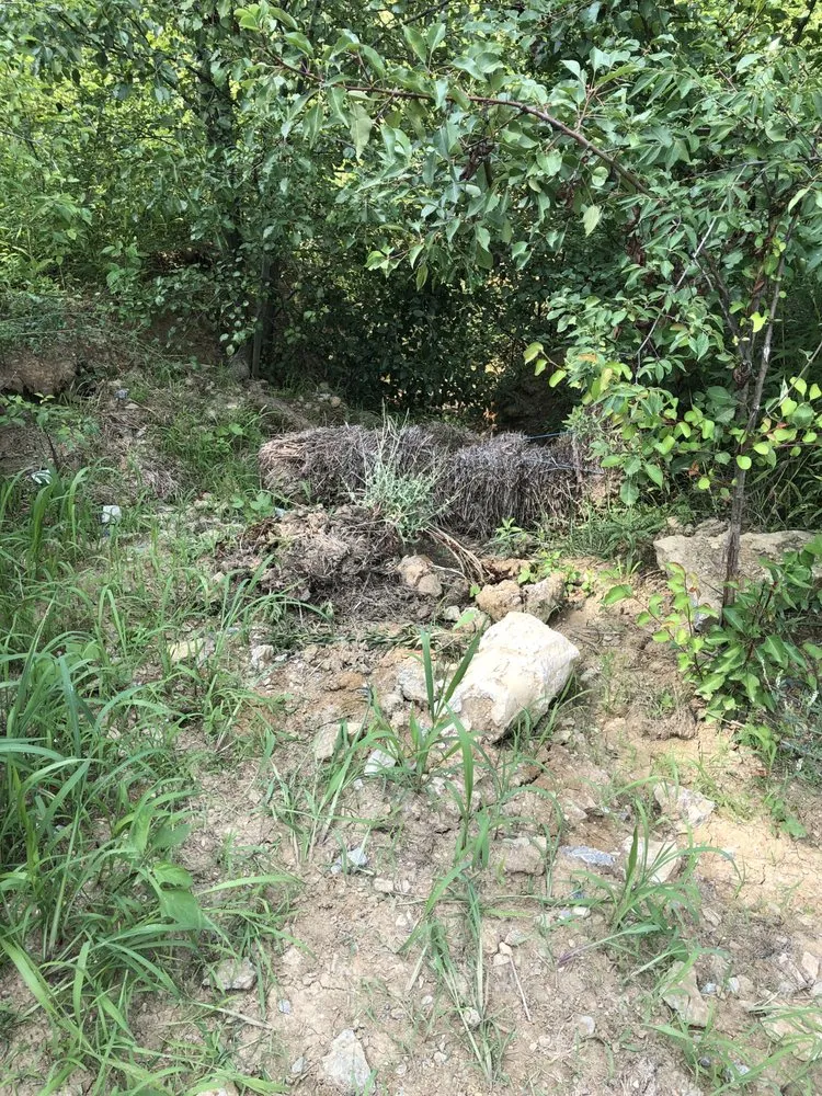 Custom yard maintenance experts serving Florence, KY - Maddox Garden Center and Landscaping