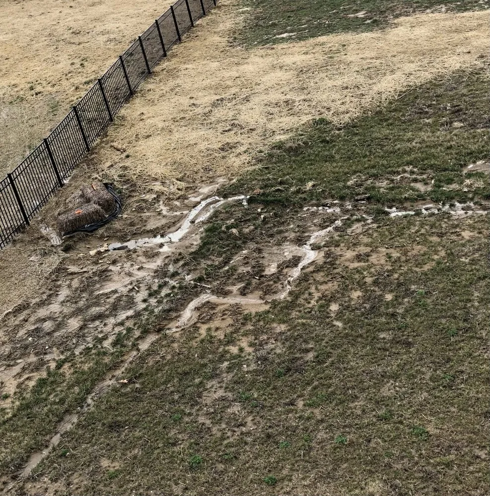 Trusted yard cleanup service in Florence, KY - Maddox Garden Center and Landscaping