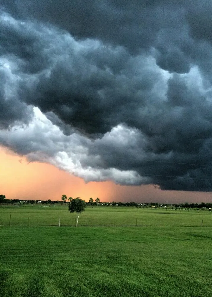 Expert lawn mowing service for year-round maintenance across Richmond, TX - Maddox Landscaping & Lawn Care