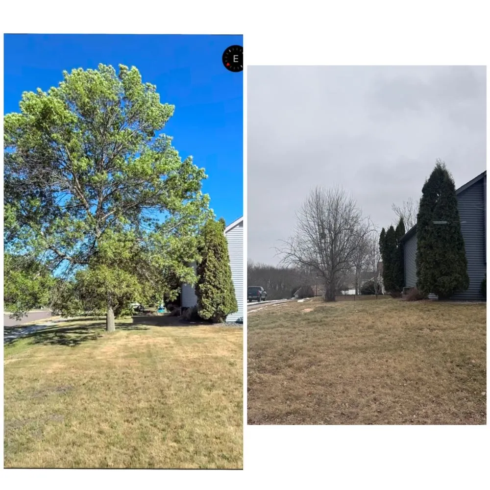 Reliable landscape installation experts serving Bloomington, MN - Maddscape