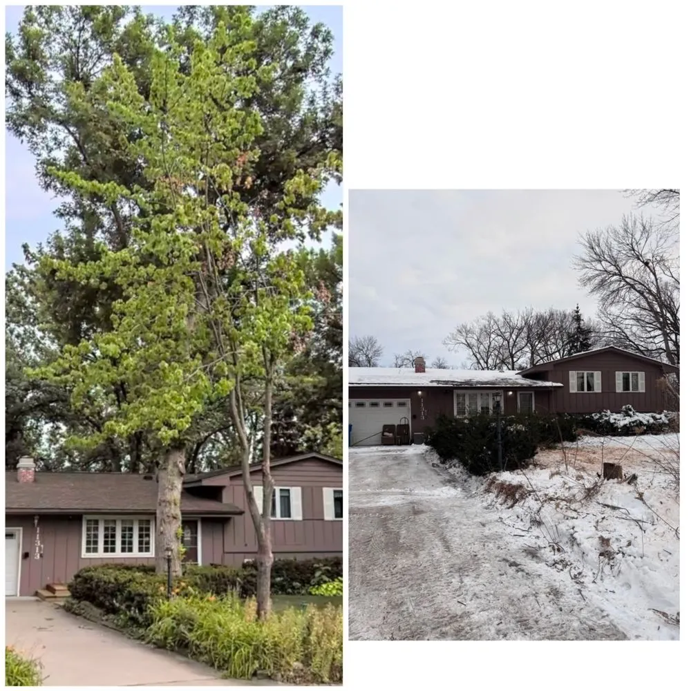 Professional landscape installation in Bloomington, MN by Maddscape