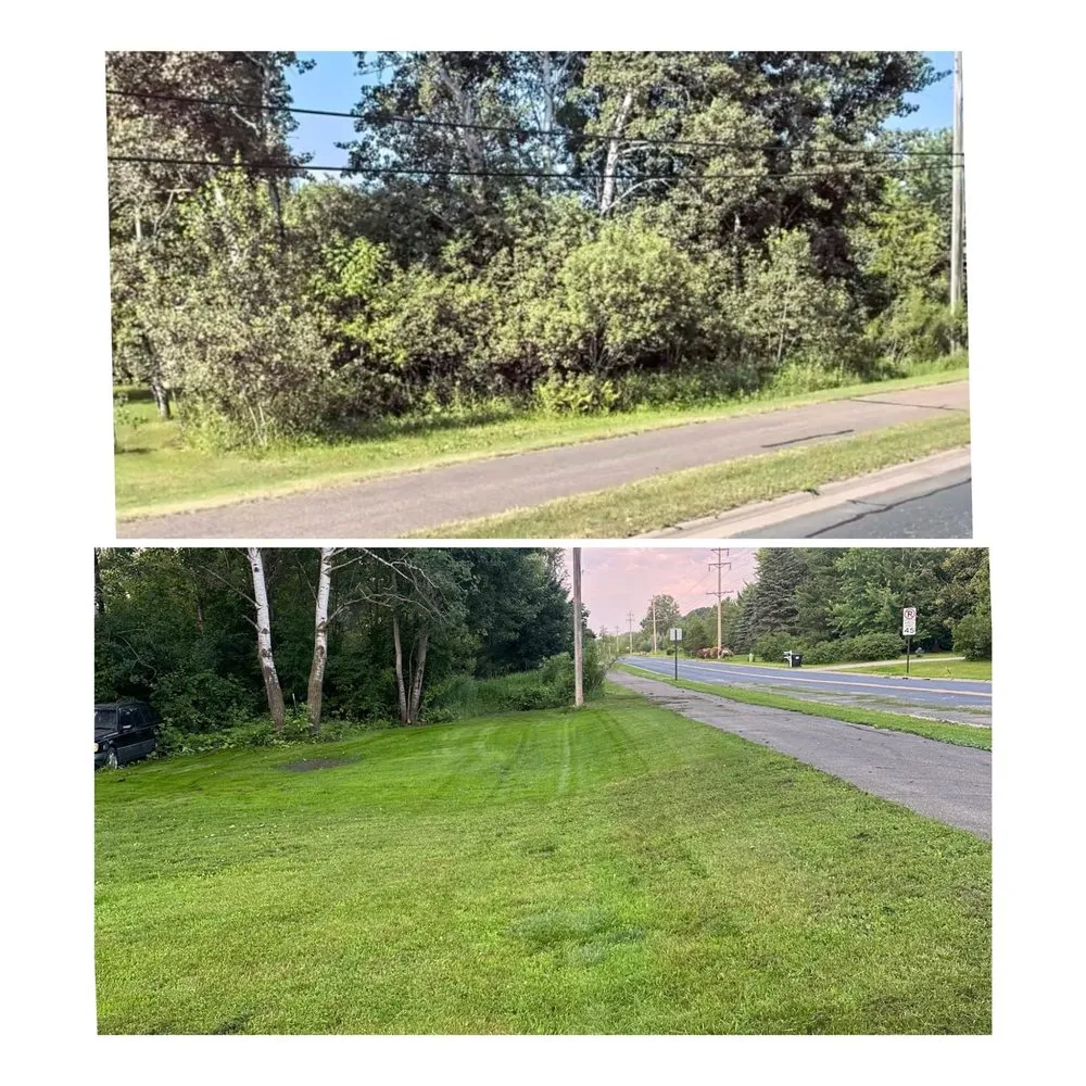 Custom landscape design experts serving Bloomington, MN - Maddscape