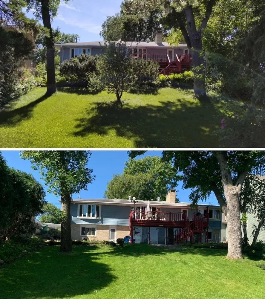 Professional outdoor landscaping in Bloomington, MN by Maddscape