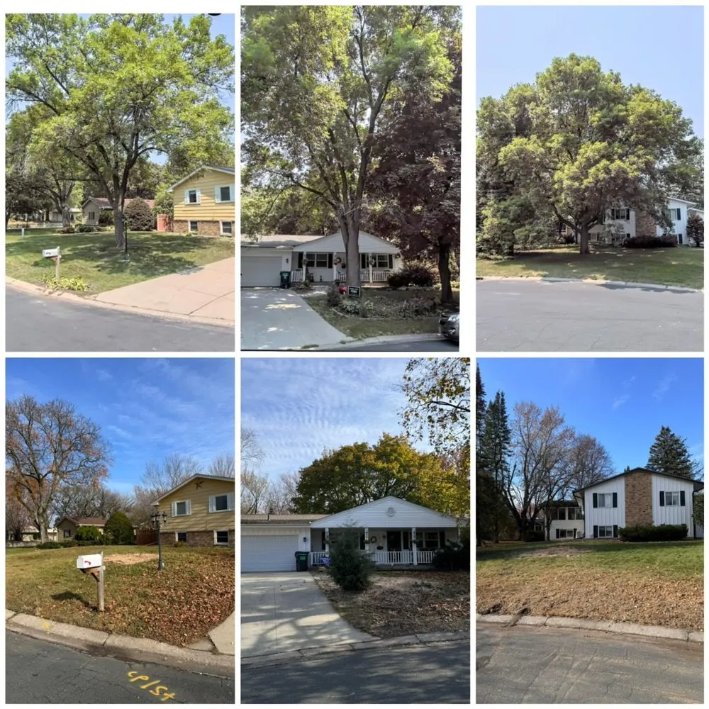 Expert yard cleanup service in Bloomington, MN by Maddscape