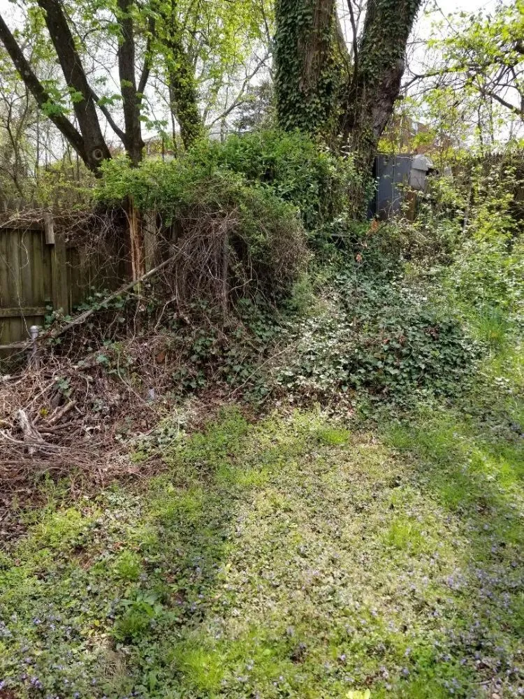 Top-rated garden landscaping experts serving Brooklyn Park, MD - Made Hauling and Removal