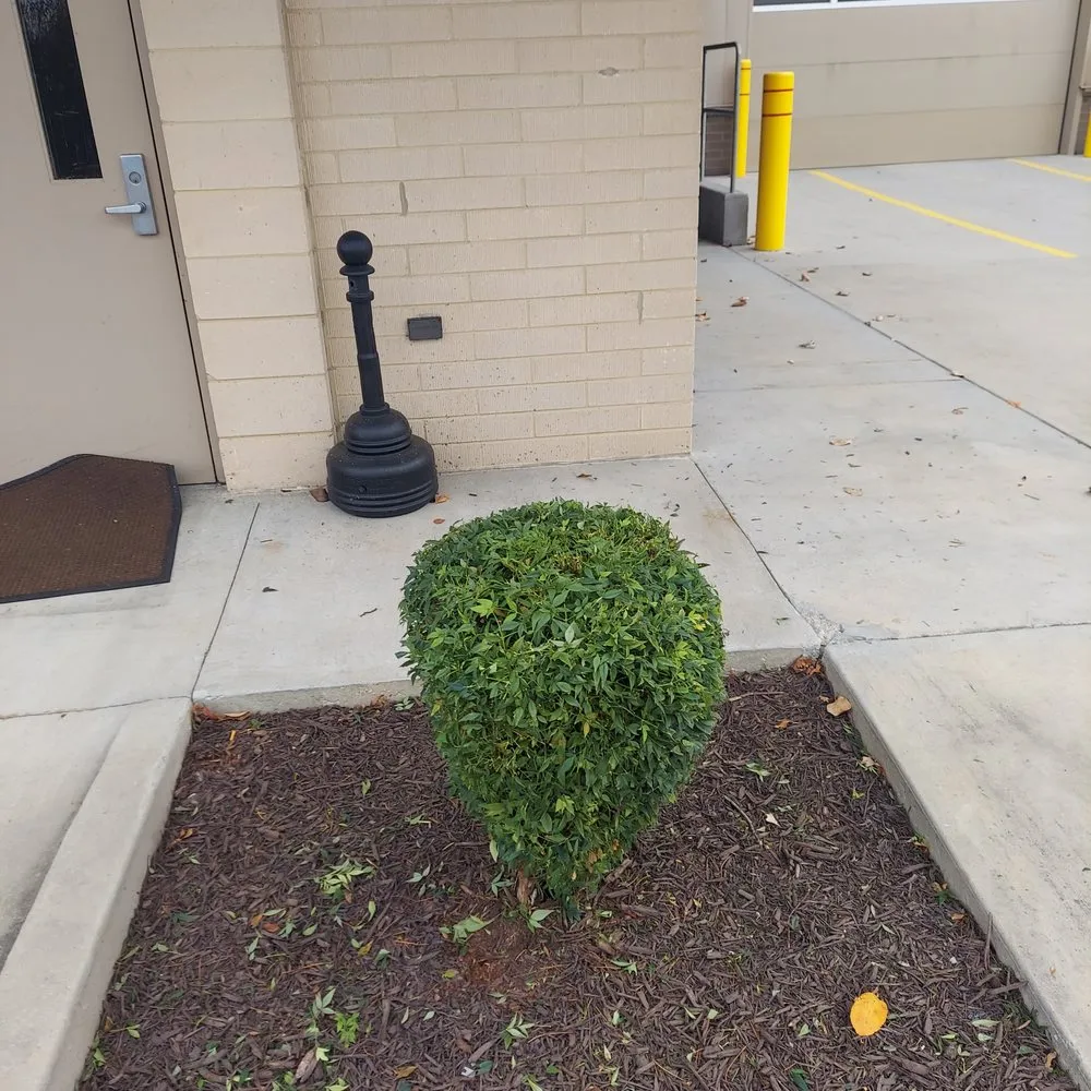 Affordable lawn mowing service in Middle Valley, TN - Made In America Lawn Care