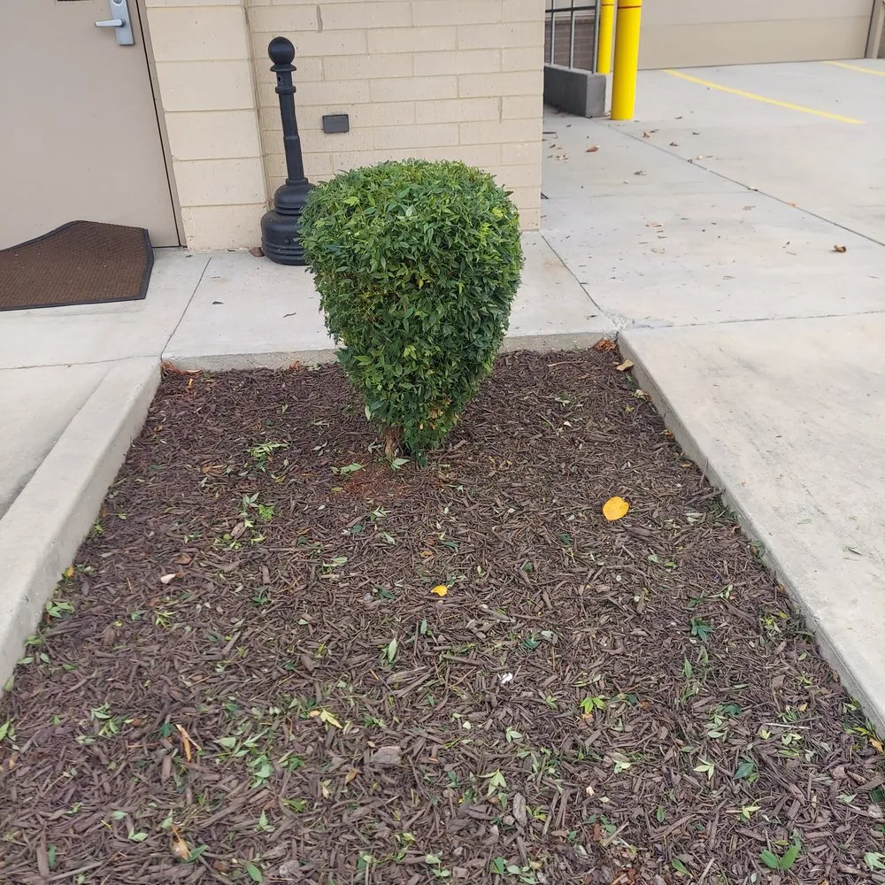 Reliable garden landscaping near you in Middle Valley, TN by Made In America Lawn Care