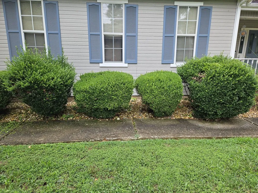 Professional outdoor landscaping experts serving Middle Valley, TN - Made In America Lawn Care