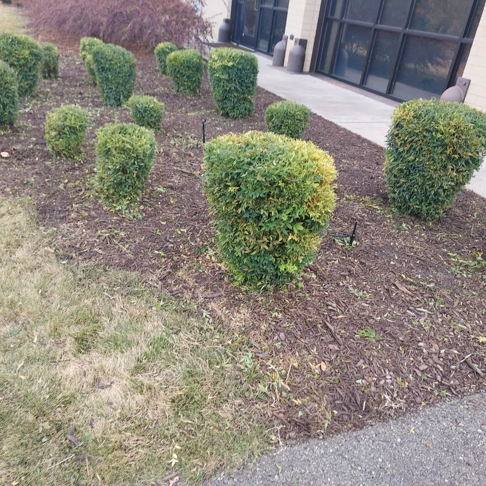 Reliable landscaping services experts serving Middle Valley, TN - Made In America Lawn Care