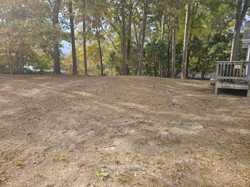 Local lawn mowing service in Middle Valley, TN - Made In America Lawn Care