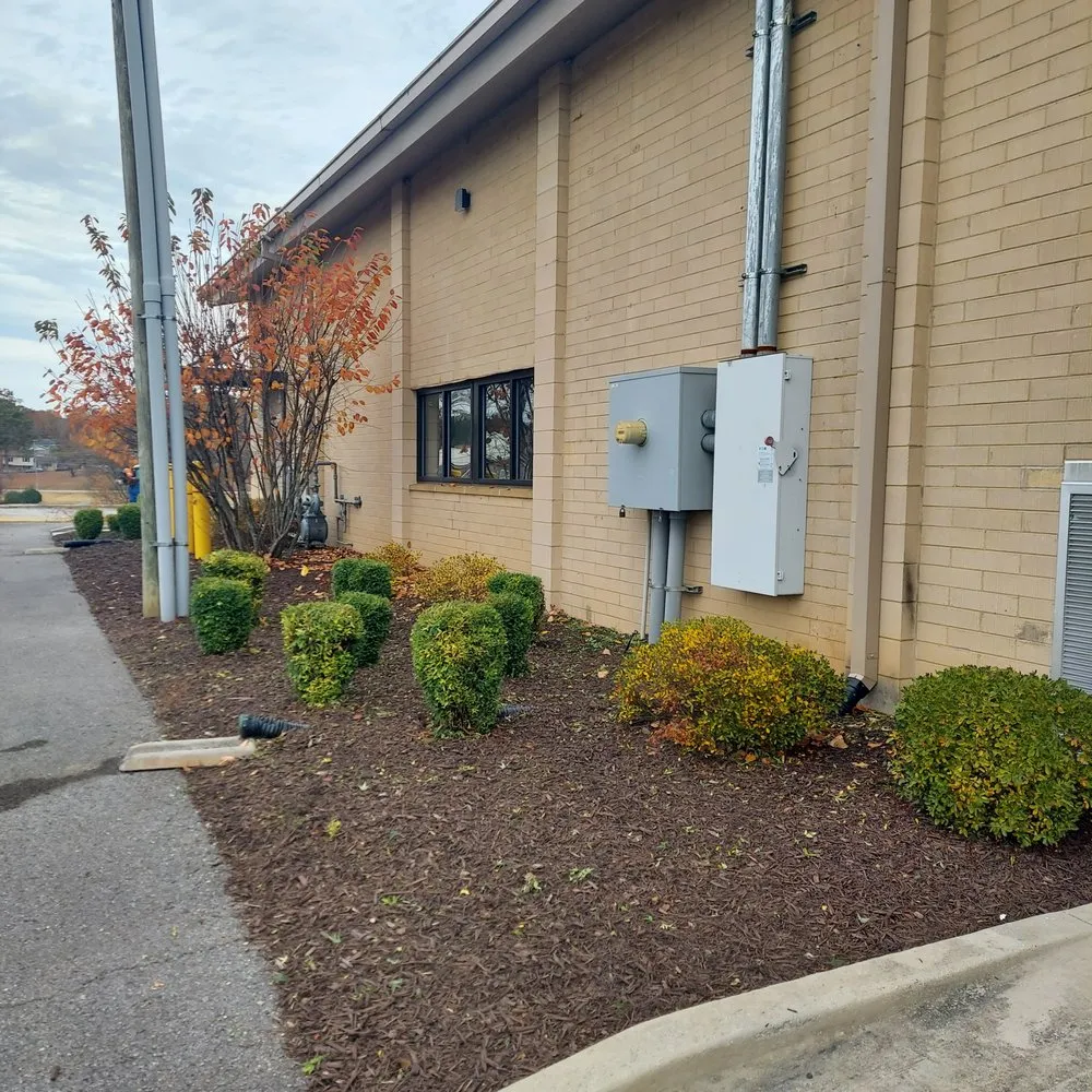 Expert yard maintenance experts serving Middle Valley, TN - Made In America Lawn Care