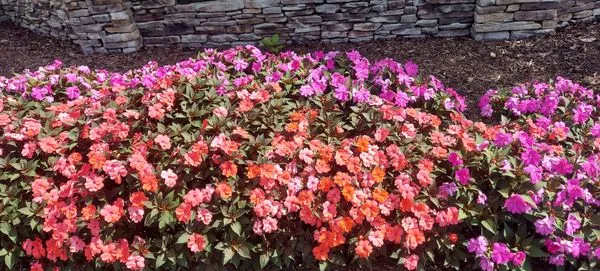 Made In America Lawn Care