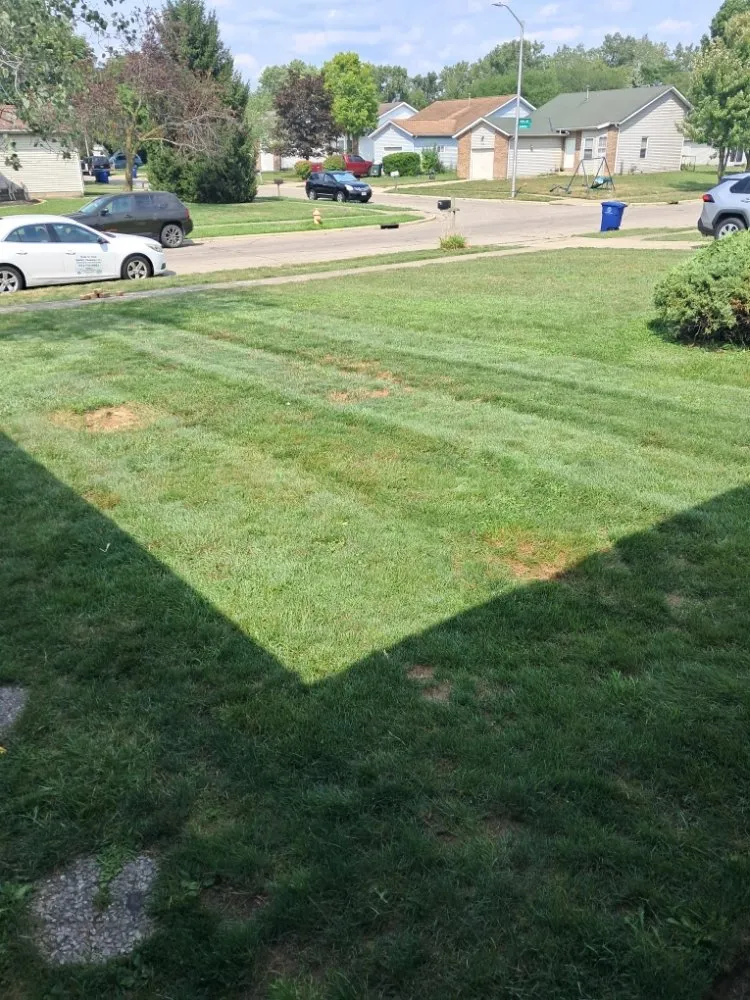Reliable landscape installation in west Jefferson, OH - Made to Mow Quality Lawn Care