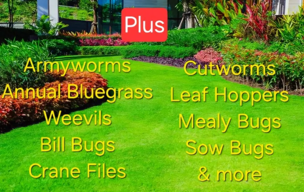 Professional outdoor landscaping for year-round maintenance in west Jefferson, OH by Made to Mow Quality Lawn Care