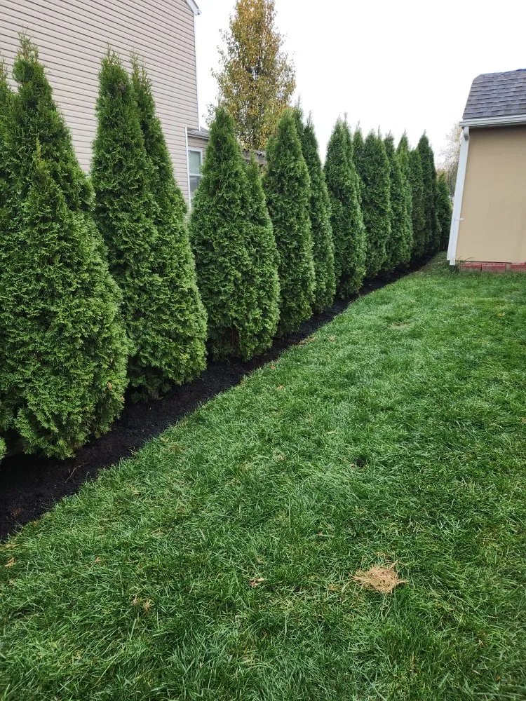 Custom residential landscaping experts serving west Jefferson, OH - Made to Mow Quality Lawn Care