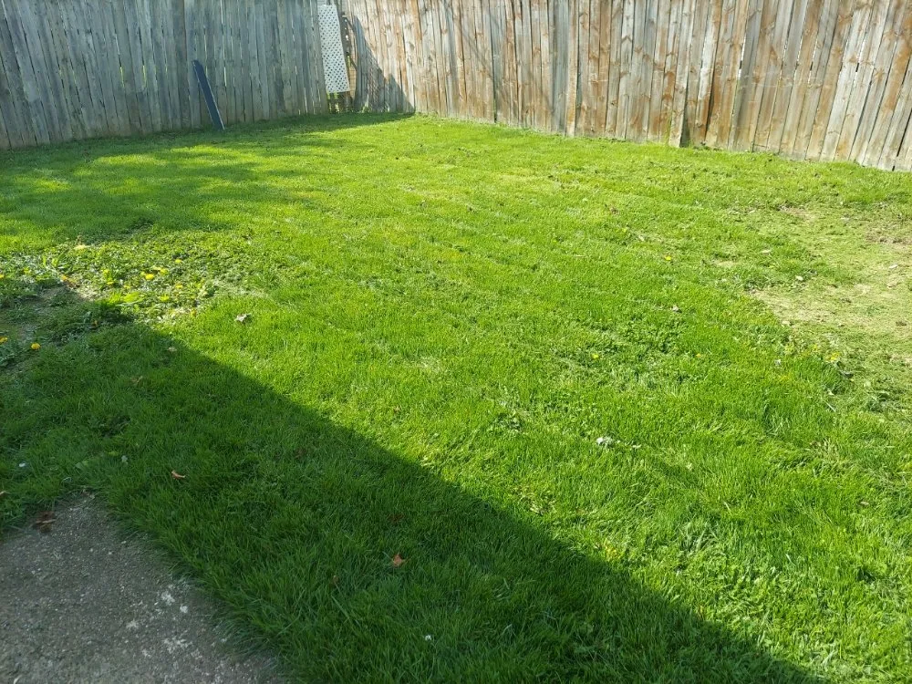Local landscape design experts serving west Jefferson, OH - Made to Mow Quality Lawn Care
