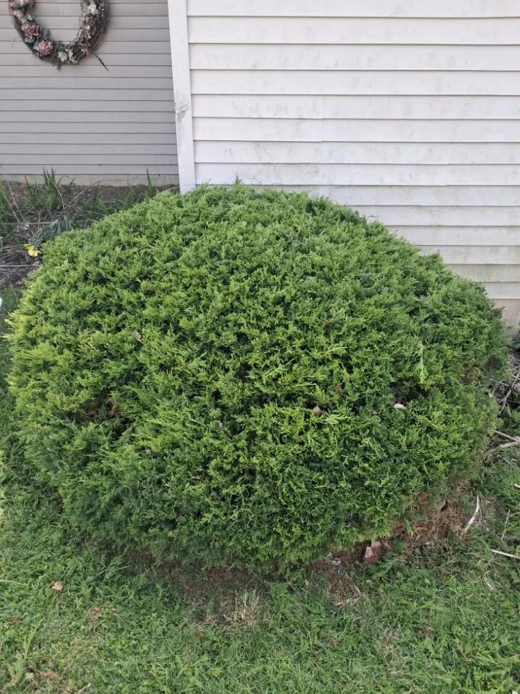 Expert landscape design for year-round maintenance across west Jefferson, OH - Made to Mow Quality Lawn Care