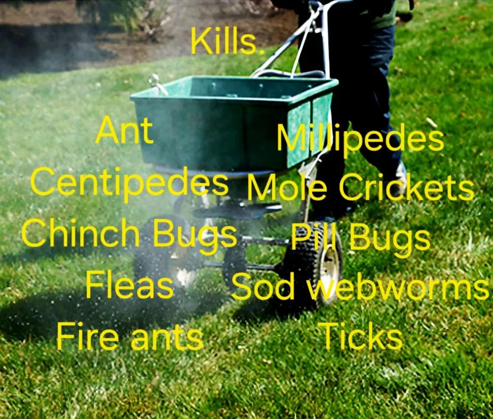 Custom lawn mowing service experts serving west Jefferson, OH - Made to Mow Quality Lawn Care