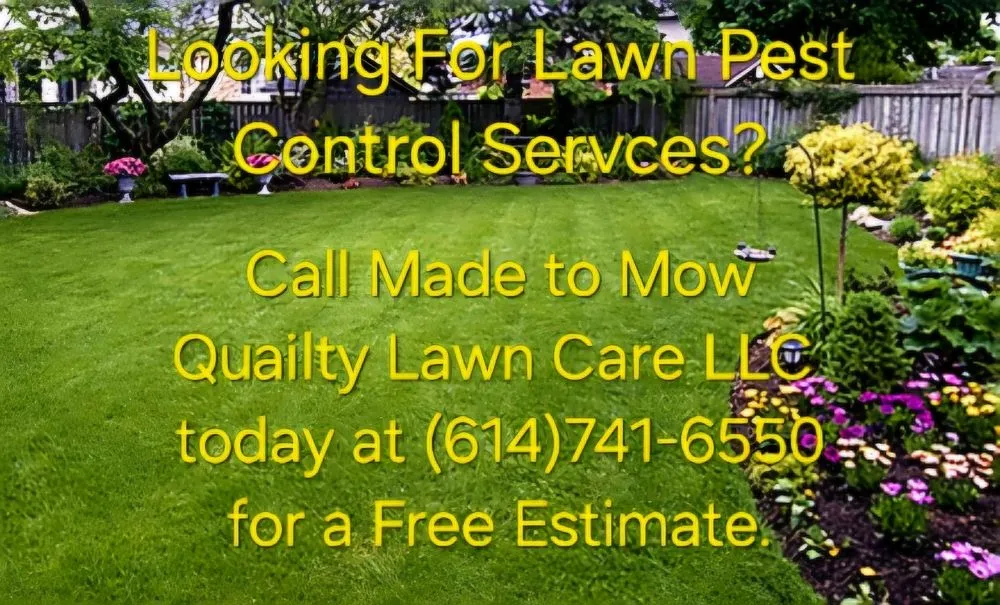 Top-rated lawn care service in west Jefferson, OH by Made to Mow Quality Lawn Care