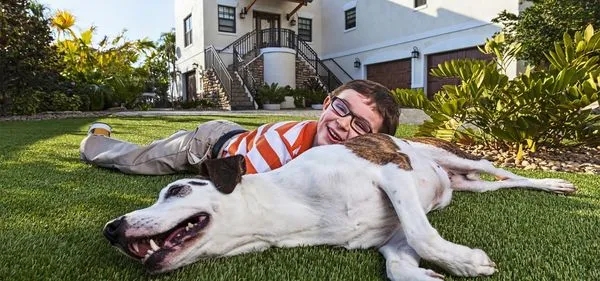 Made to Mow Quality Lawn Care