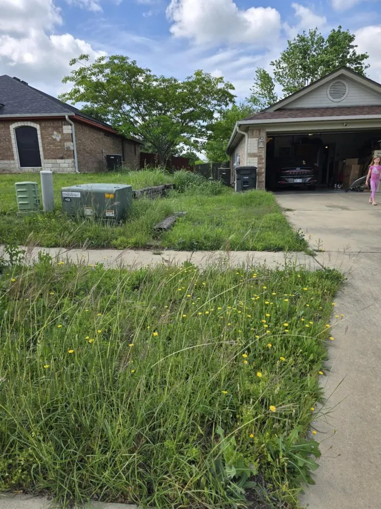 Reliable landscaping services in Killeen, TX by Made you look lawn service