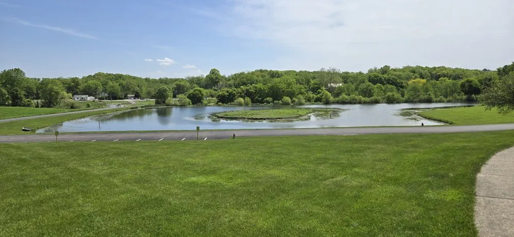 Expert yard cleanup service experts serving Akron, OH - Madera