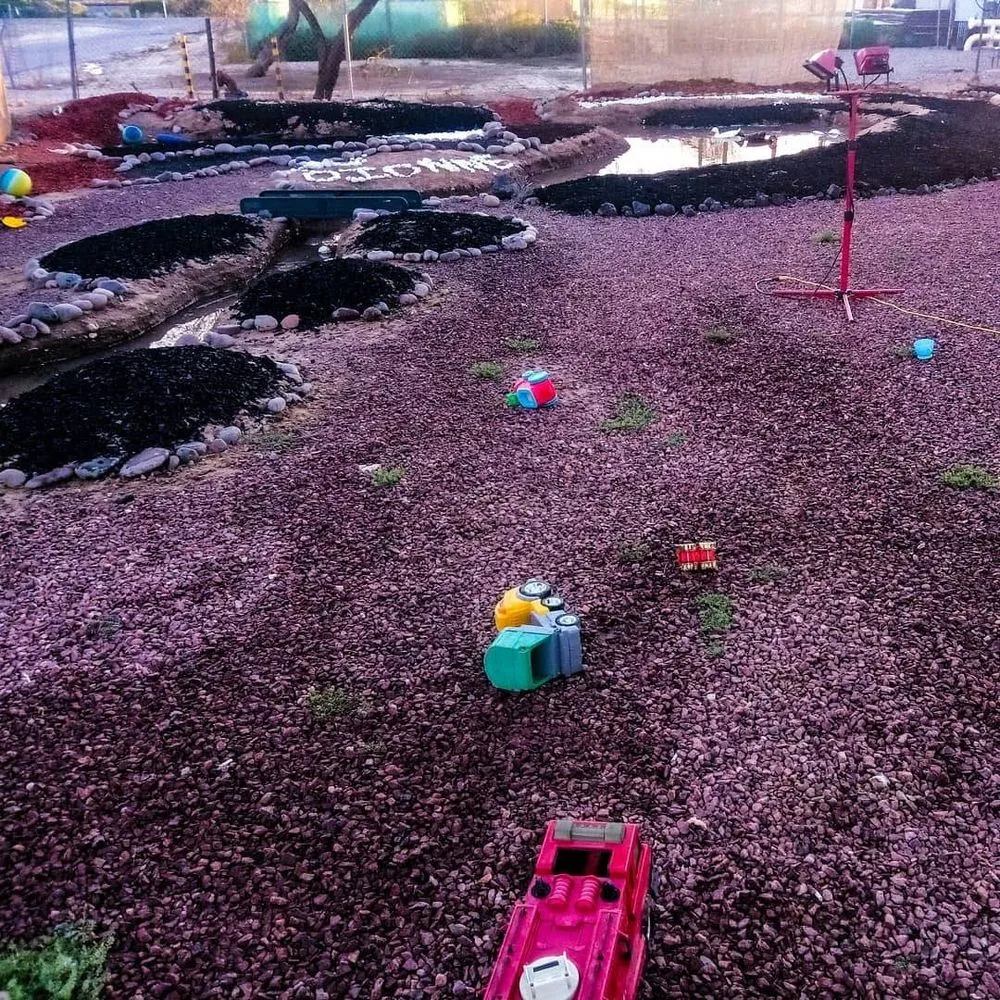 Affordable garden landscaping near you in Tucson, AZ by Madera Landscaping
