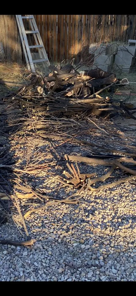 Top-rated outdoor landscaping in Tucson, AZ by Madero Landscaping