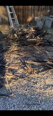 Madero Landscaping Logo