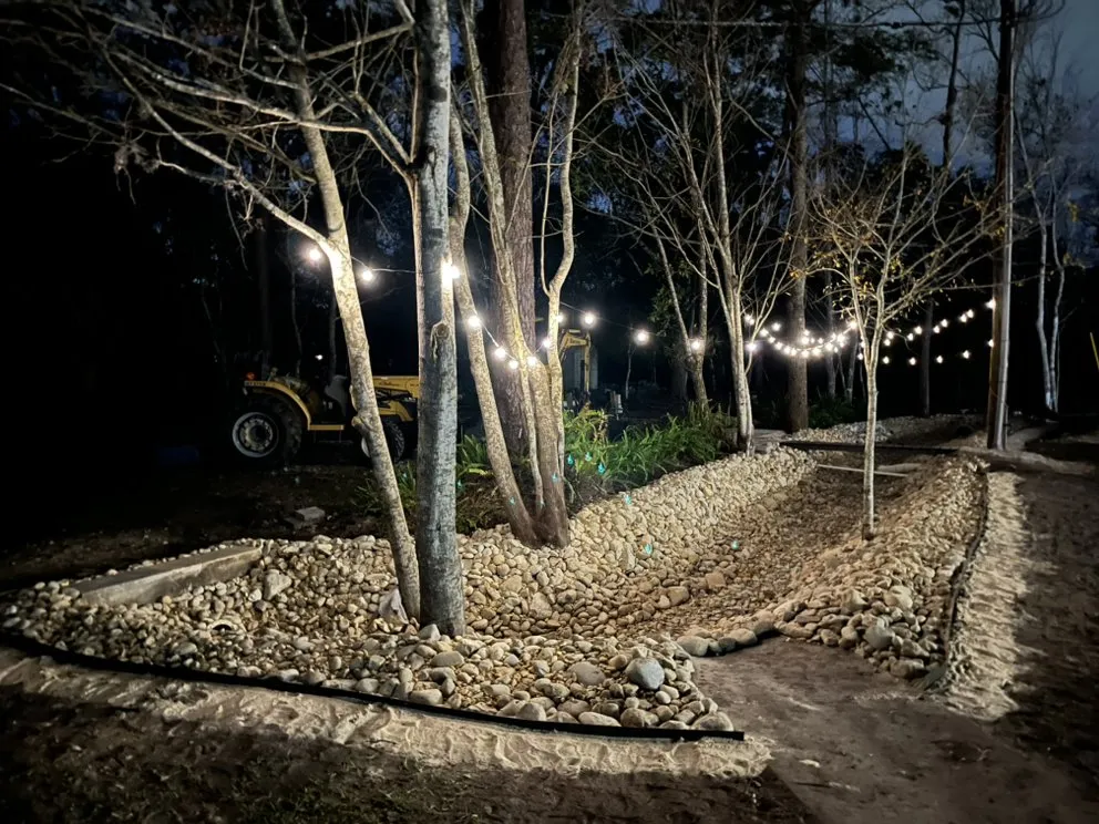 Custom yard maintenance near you in Orlando, FL by Madewell Repair