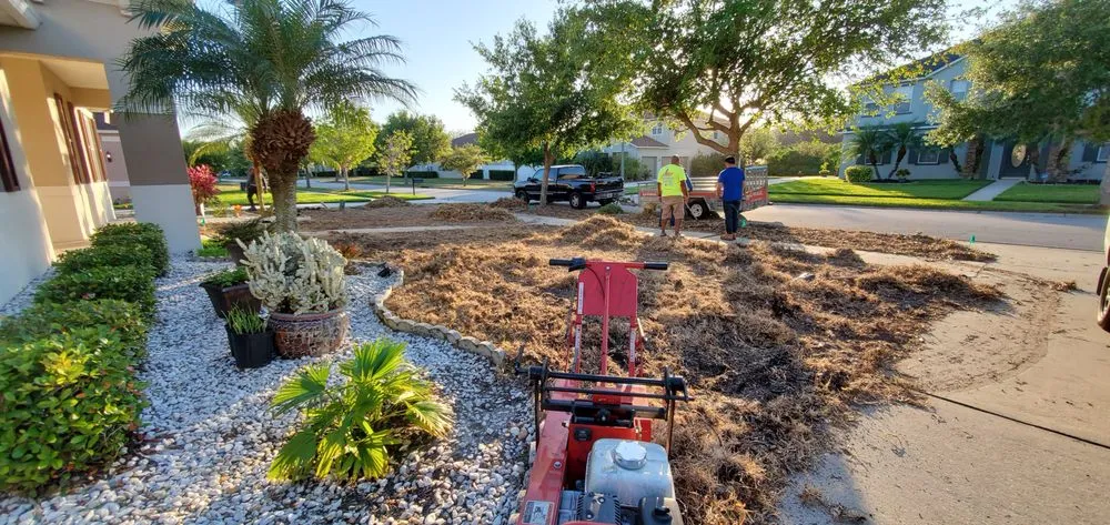 Reliable lawn care service in Orlando, FL by Madewell Repair