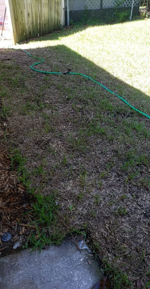 Top-rated residential landscaping for homes across Orlando, FL - Madewell Repair