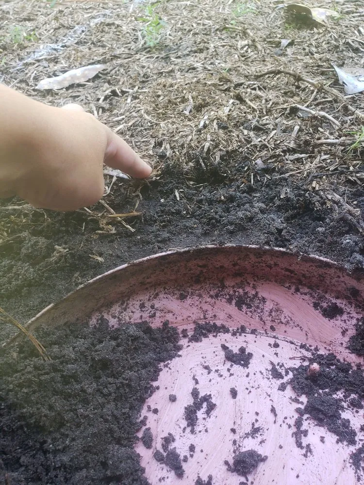 Local yard cleanup service experts serving Orlando, FL - Madewell Repair