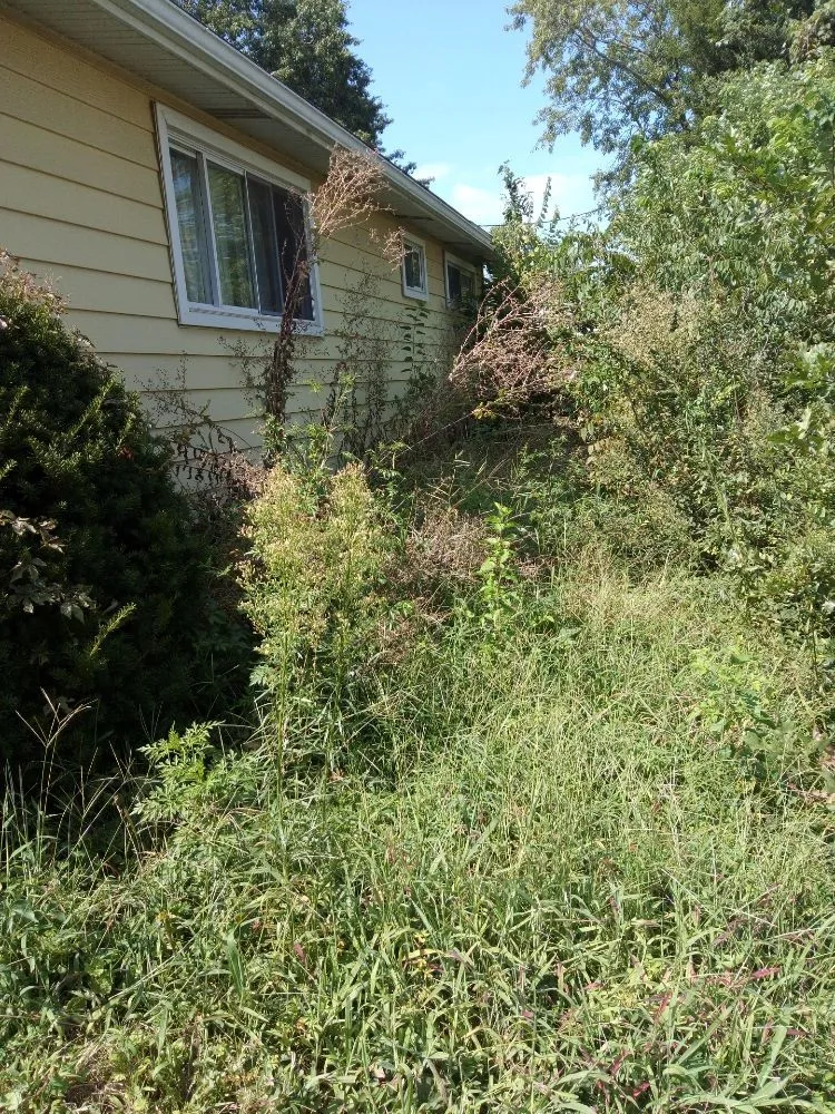 Professional garden landscaping for beautiful yards across Kansas City, KS - Madhouse lawn Care services