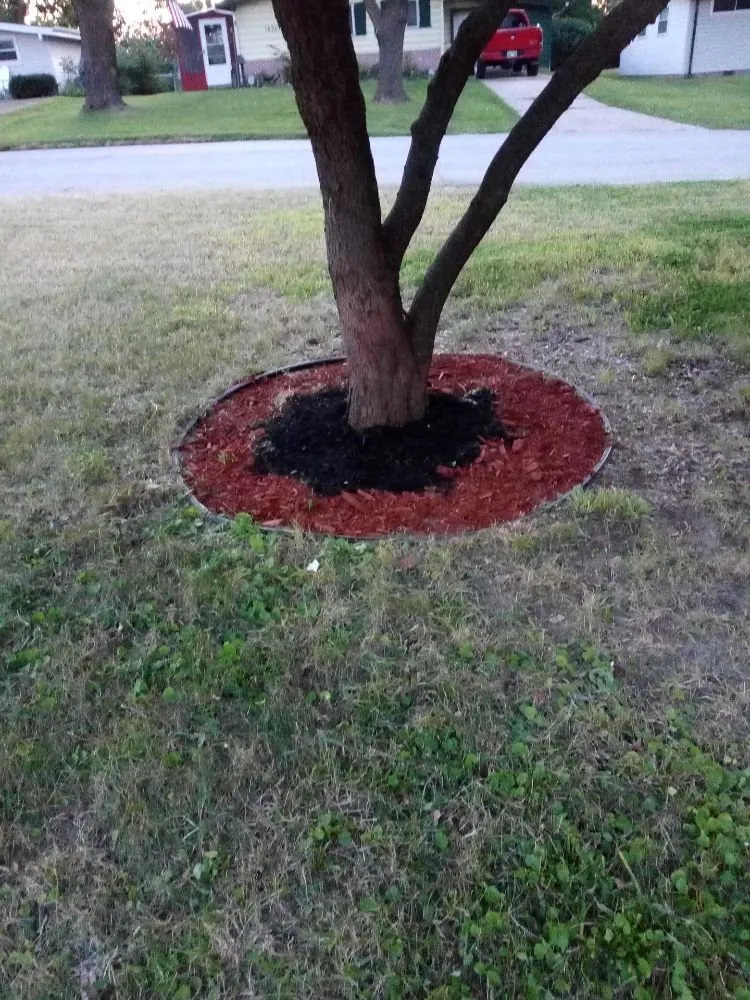 Reliable residential landscaping in Kansas City, KS - Madhouse lawn Care services