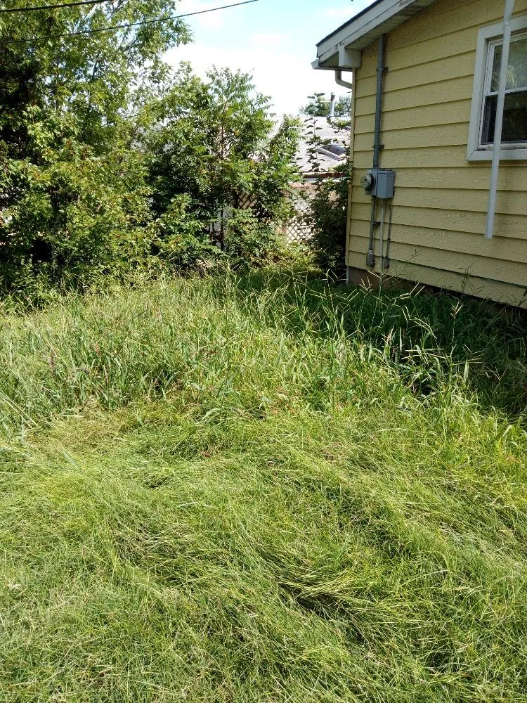 Local residential landscaping in Kansas City, KS - Madhouse lawn Care services