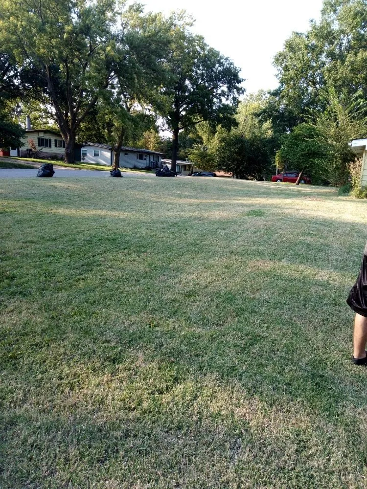 Reliable residential landscaping in Kansas City, KS - Madhouse lawn Care services