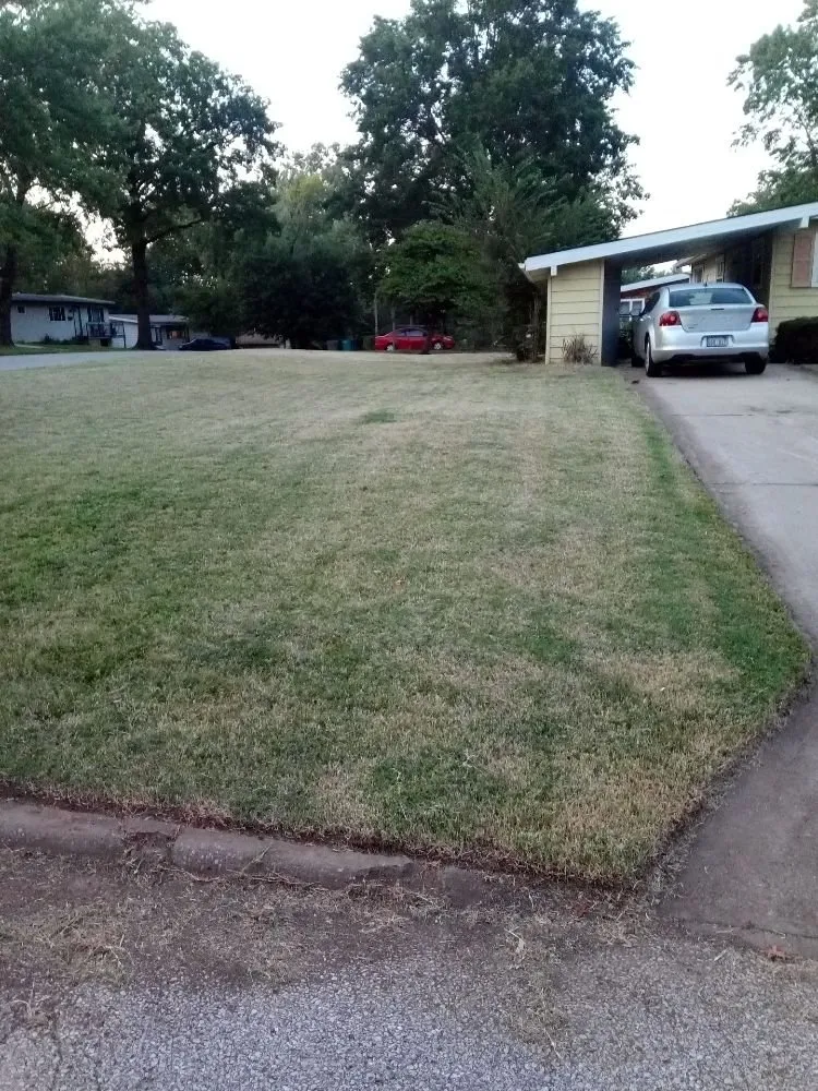 Expert residential landscaping near you across Kansas City, KS - Madhouse lawn Care services