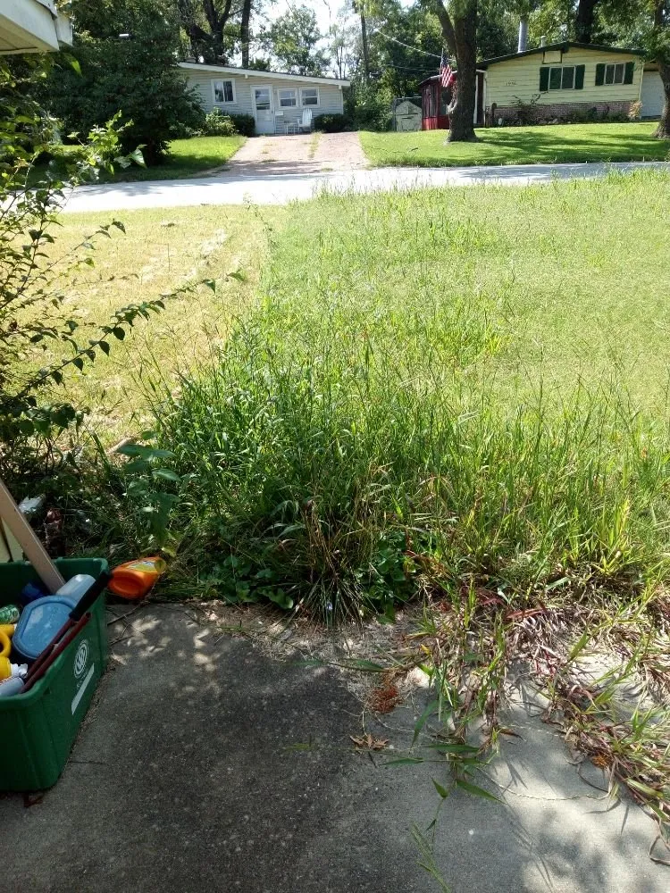 Custom lawn mowing service with custom design in Kansas City, KS by Madhouse lawn Care services