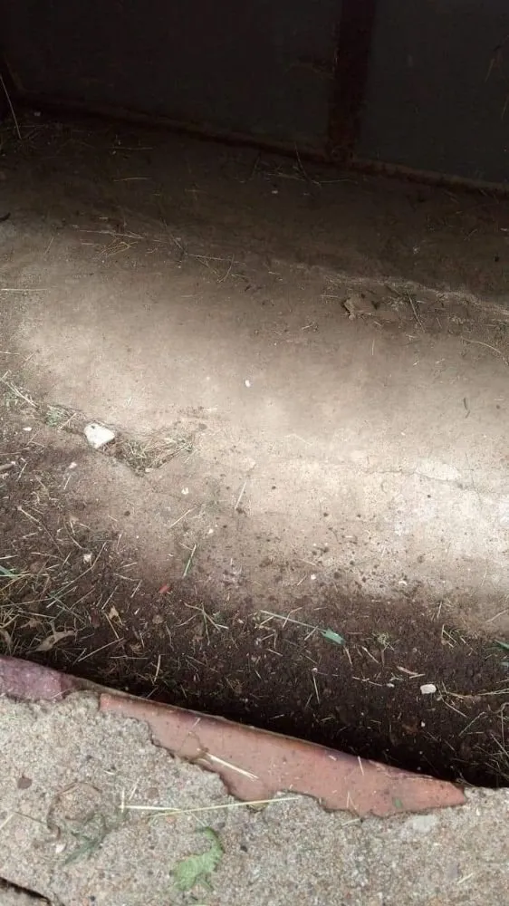 Local landscape installation for residential properties in Kansas City, KS by Madhouse lawn Care services