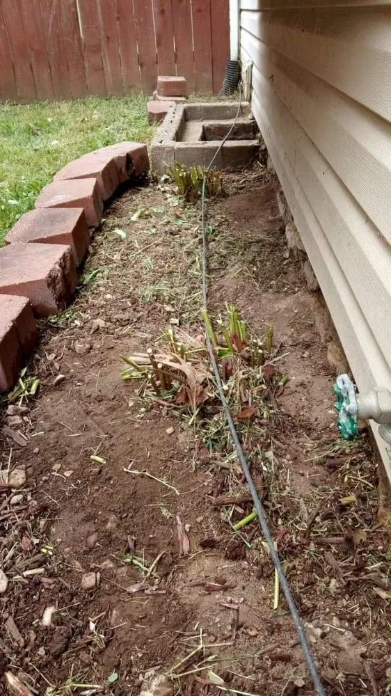 Top-rated lawn mowing service in Kansas City, KS - Madhouse lawn Care services