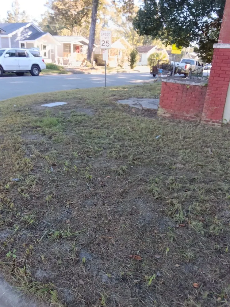 Top-rated yard cleanup service experts serving Albany, GA - Madison & Theresa Heavenly 3&1