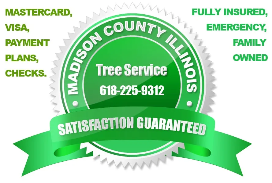 Local lawn care service for outdoor upgrades in Cottage Hills, IL by Madison County Tree Service